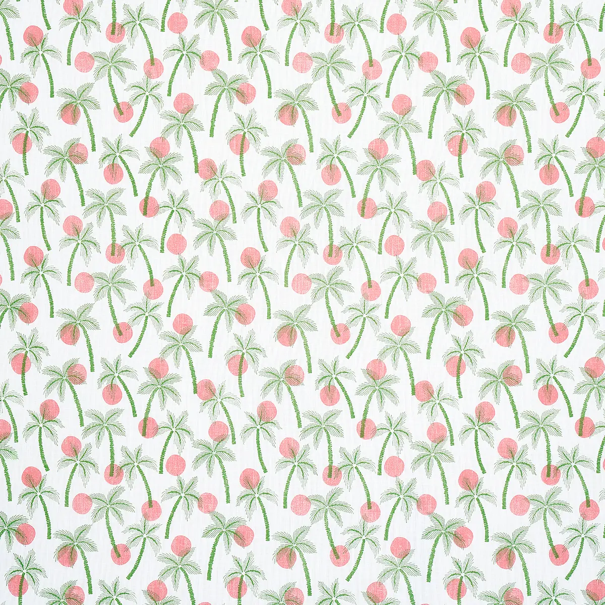 CLARABELLA PALM INDOOR/OUTDOOR_ TROPICAL