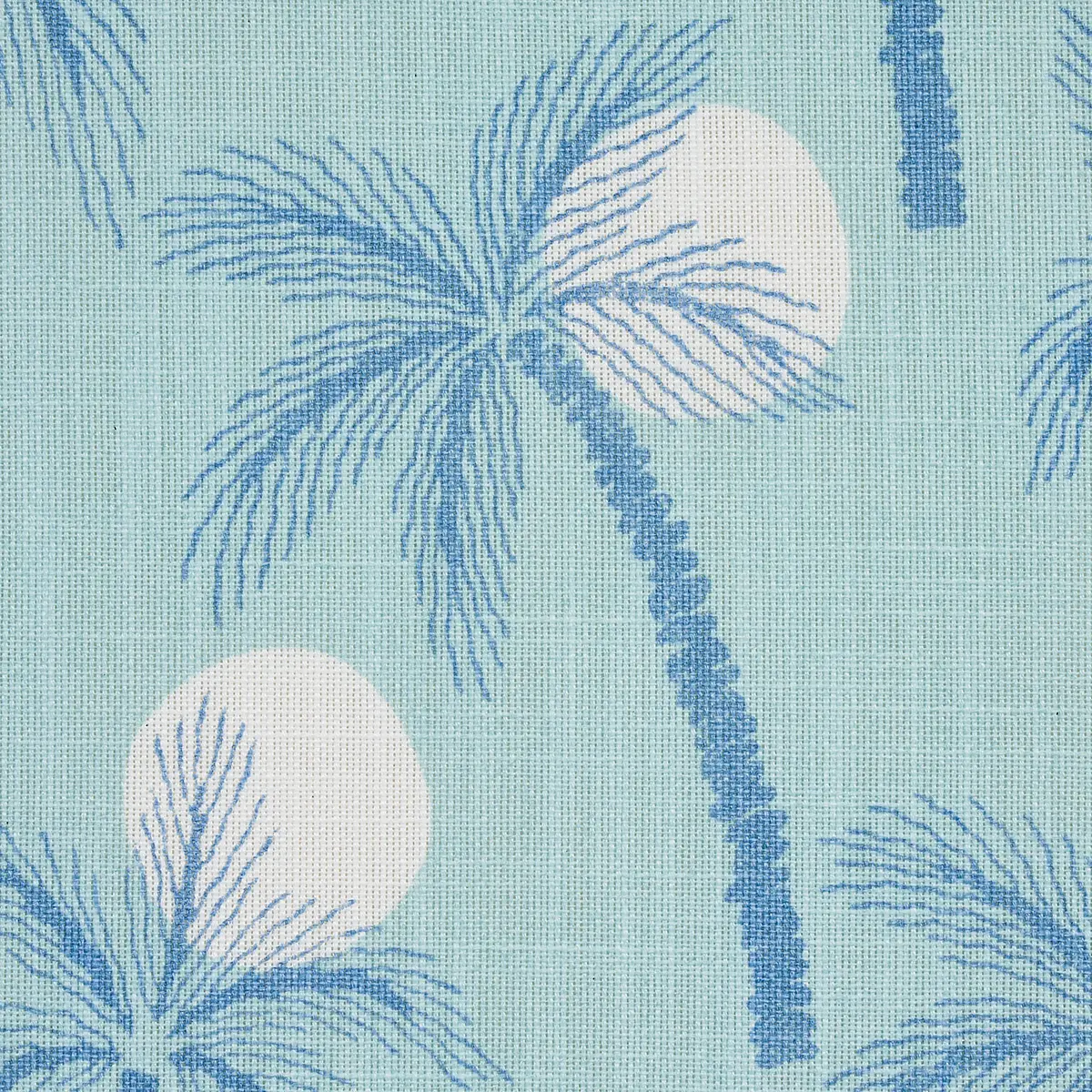 CLARABELLA PALM INDOOR/OUTDOOR_ POOL