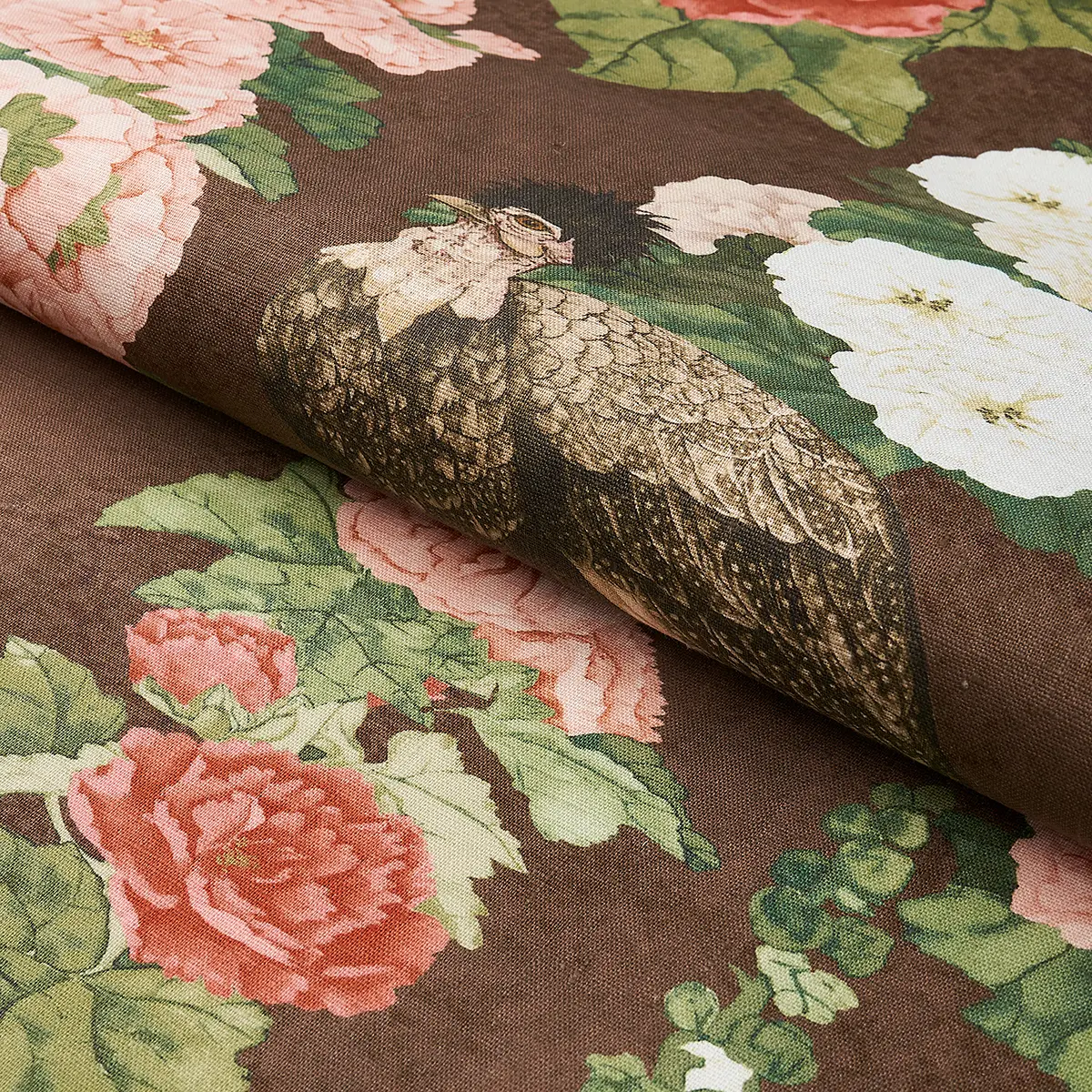 LADY HOLLYHOCK_ BROWN