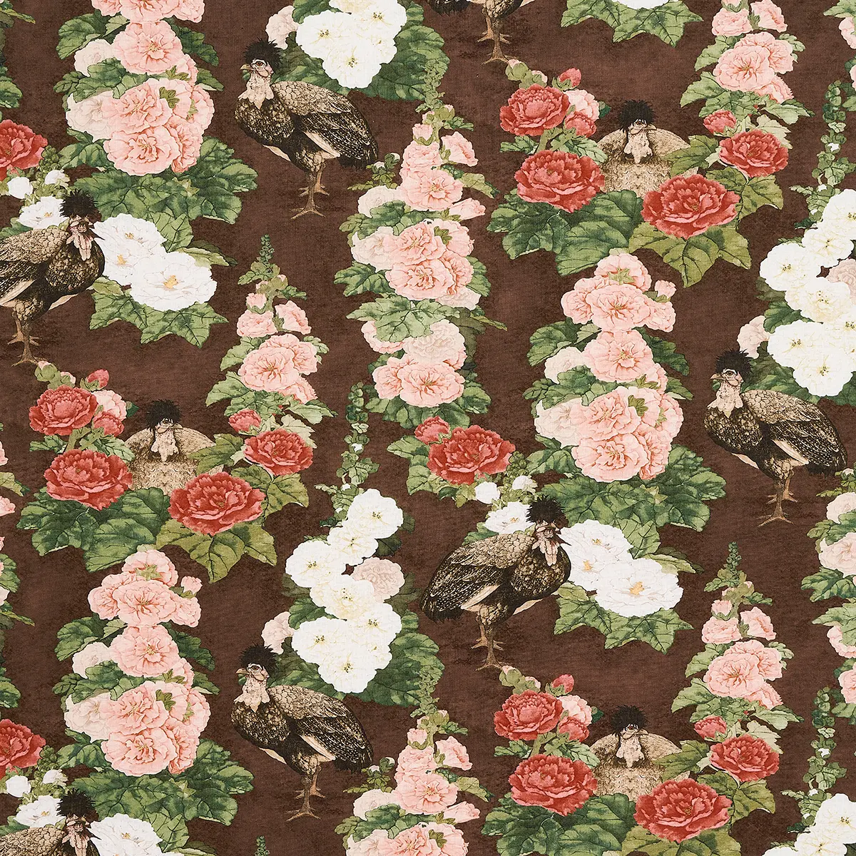 LADY HOLLYHOCK_ BROWN