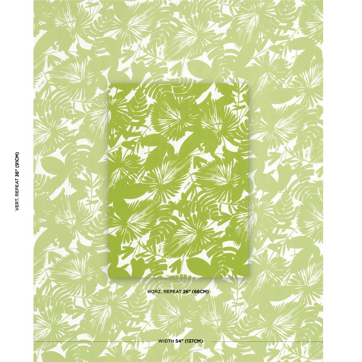 PALISADES PALM INDOOR/OUTDOOR_ FERN