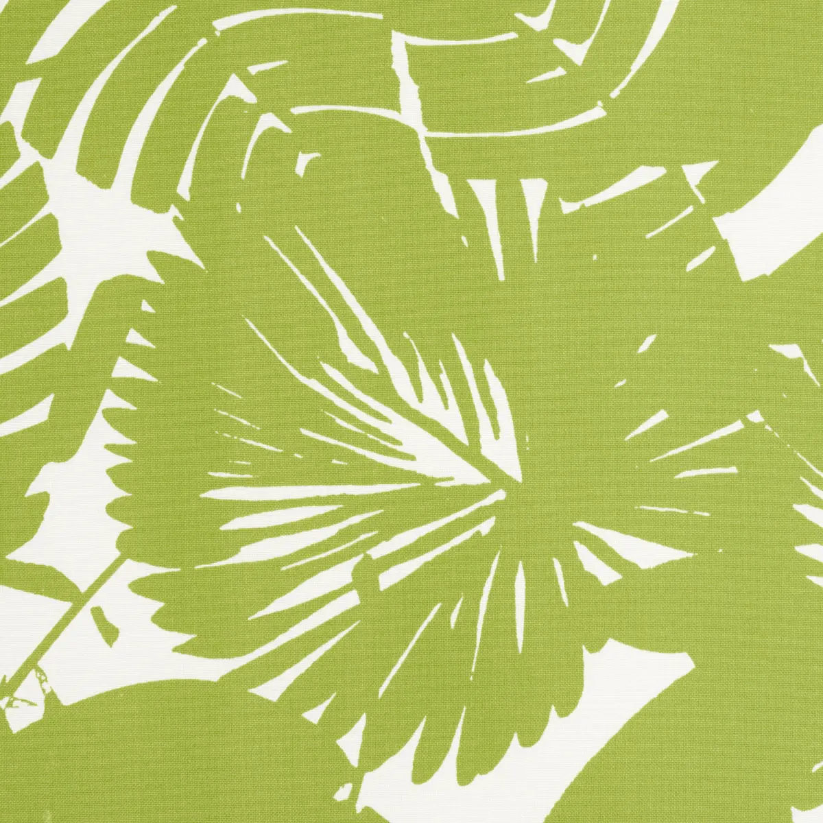 PALISADES PALM INDOOR/OUTDOOR_ FERN