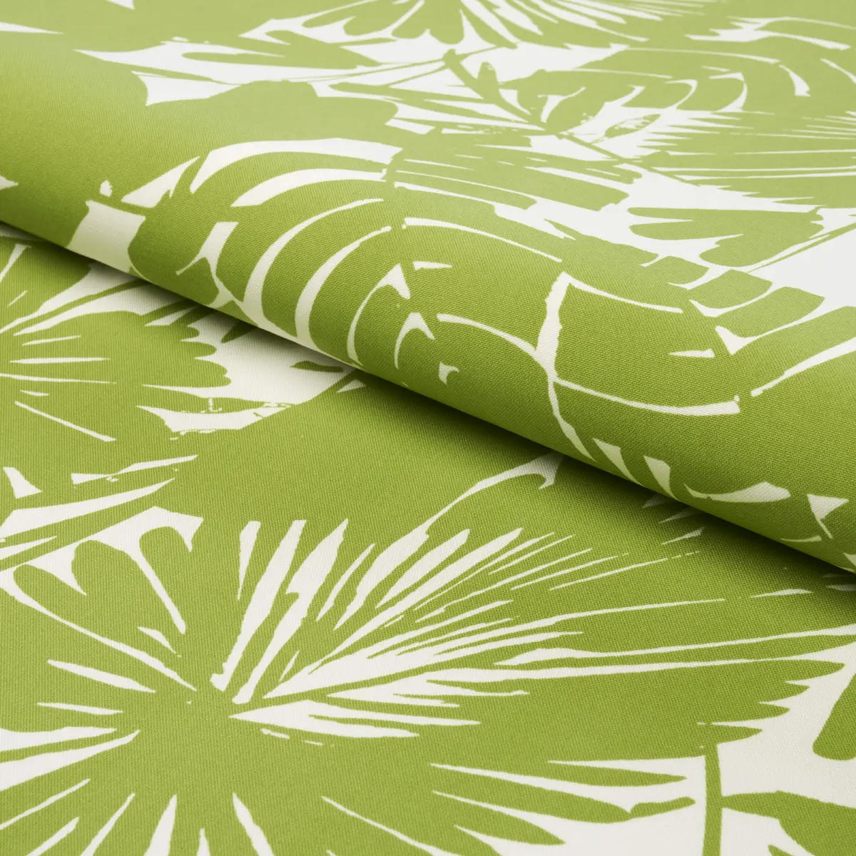 PALISADES PALM INDOOR/OUTDOOR_ FERN