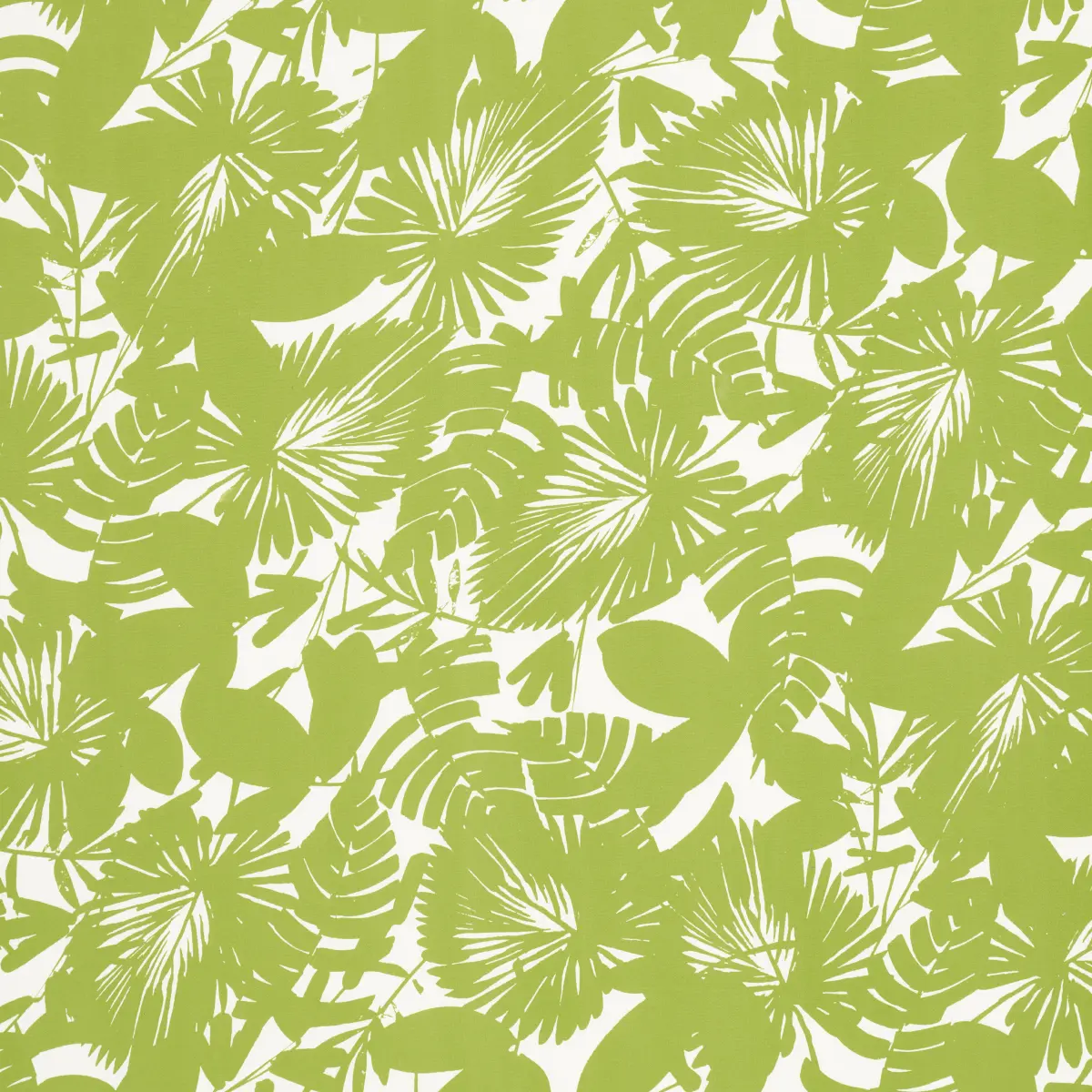 PALISADES PALM INDOOR/OUTDOOR_ FERN