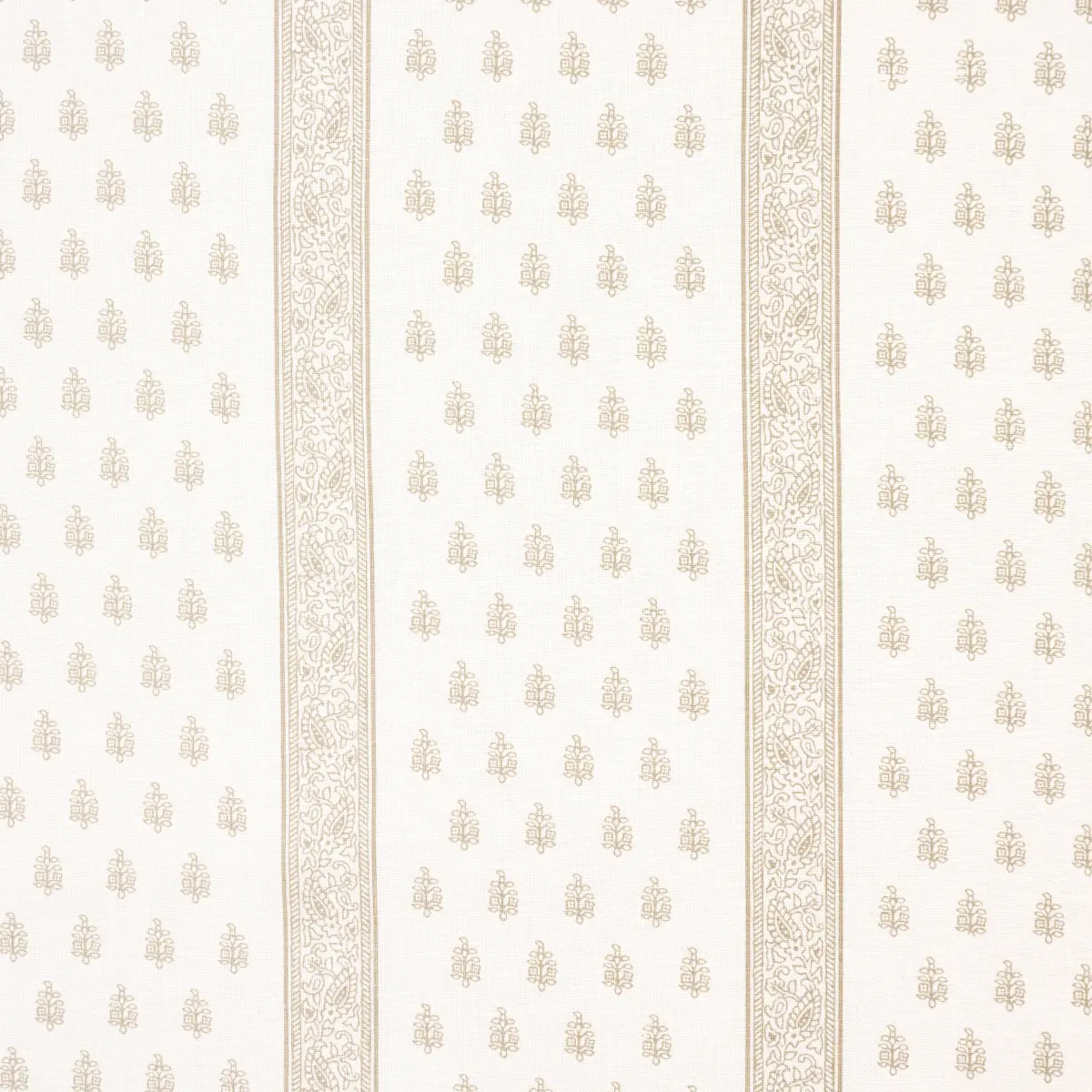 KATSURA STRIPE_ SAND