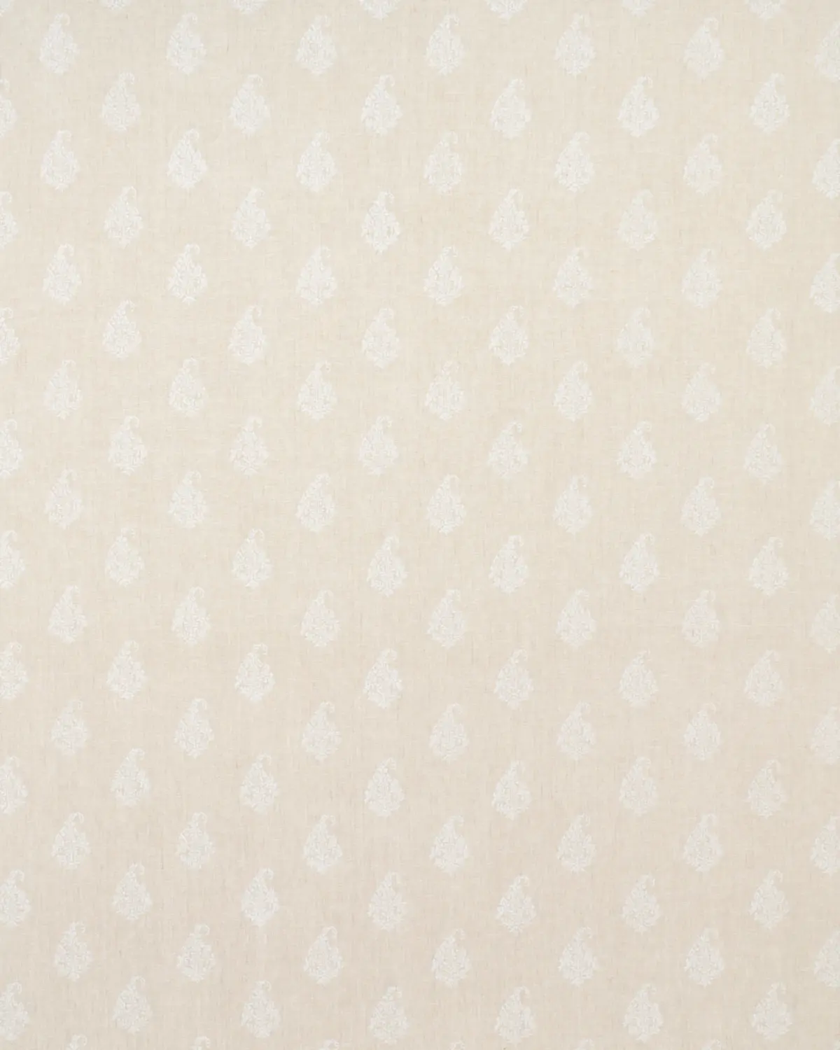 KERALA PAISLEY_ WHITE ON NEUTRAL