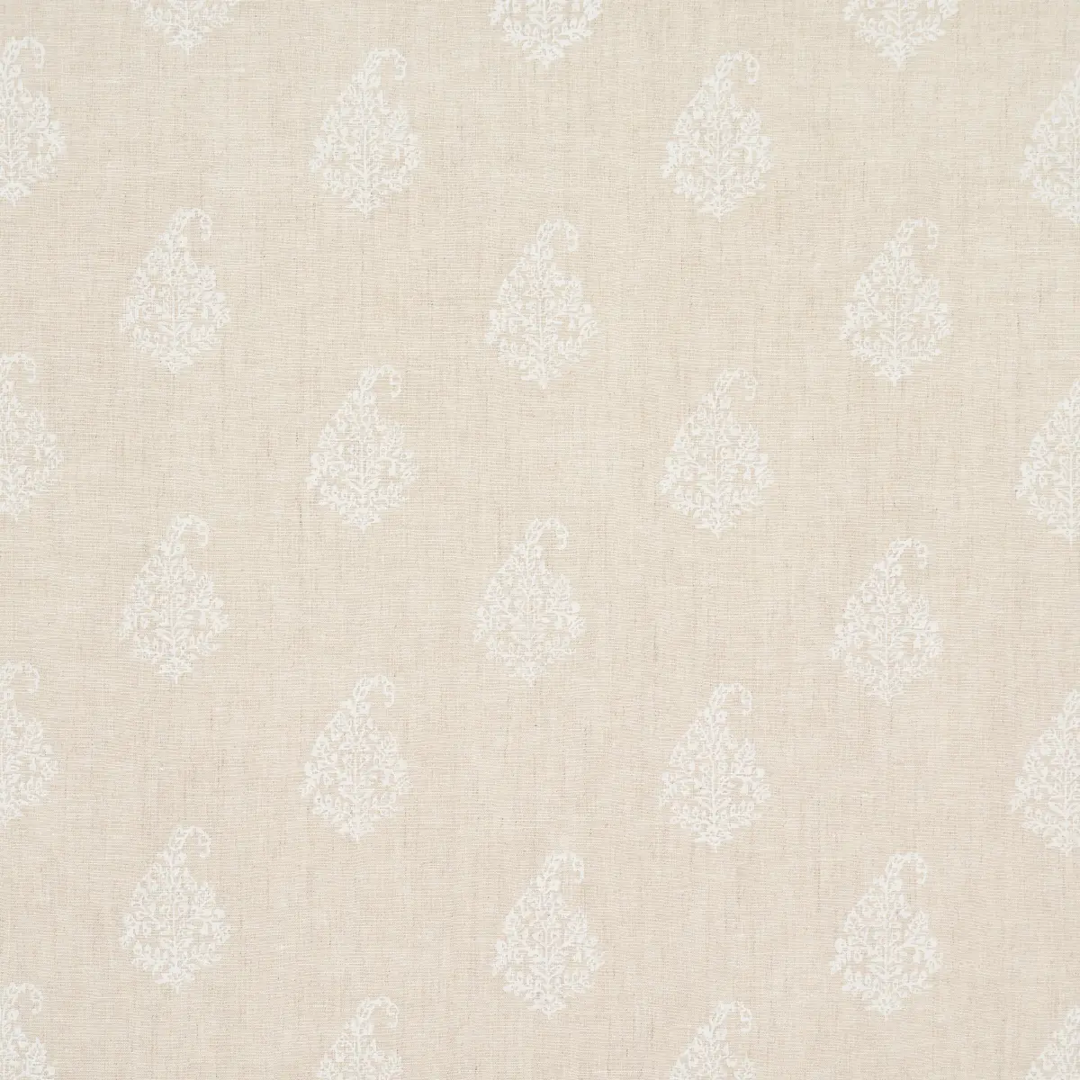 KERALA PAISLEY_ WHITE ON NEUTRAL
