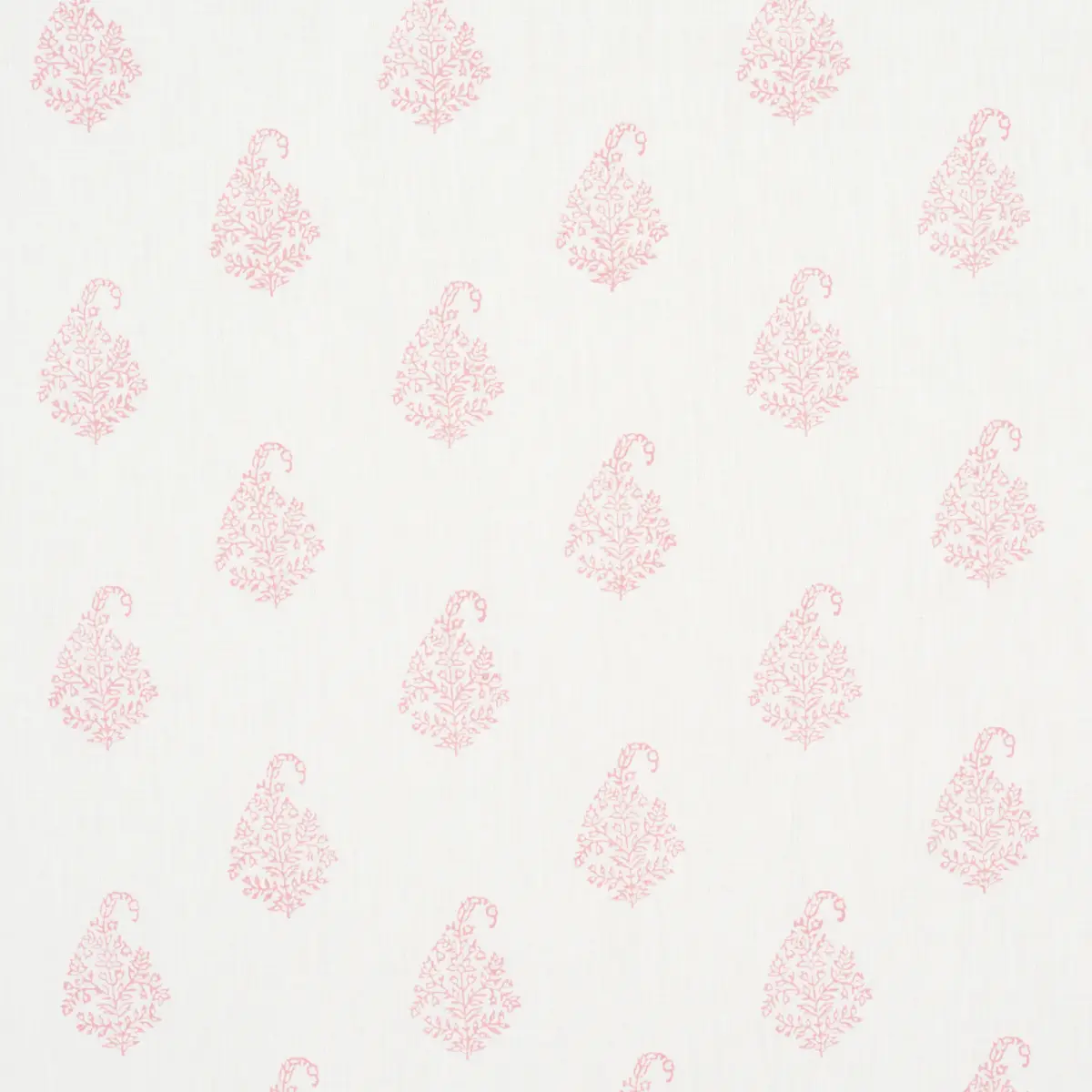 KERALA PAISLEY_ BLUSH