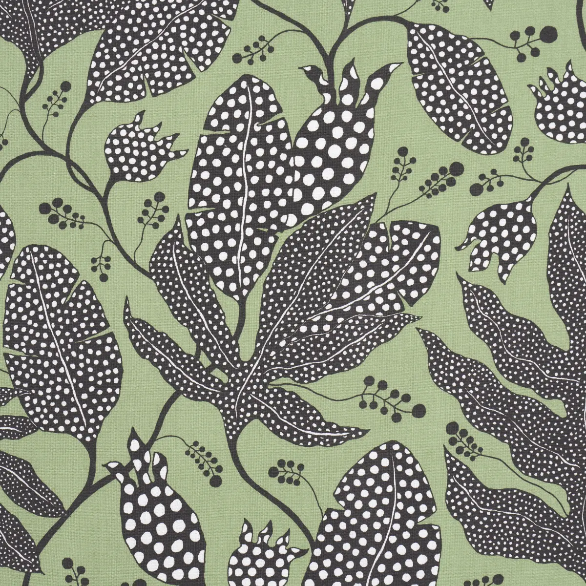 POLKA DOT JUNGLE_ BLACK & GREEN