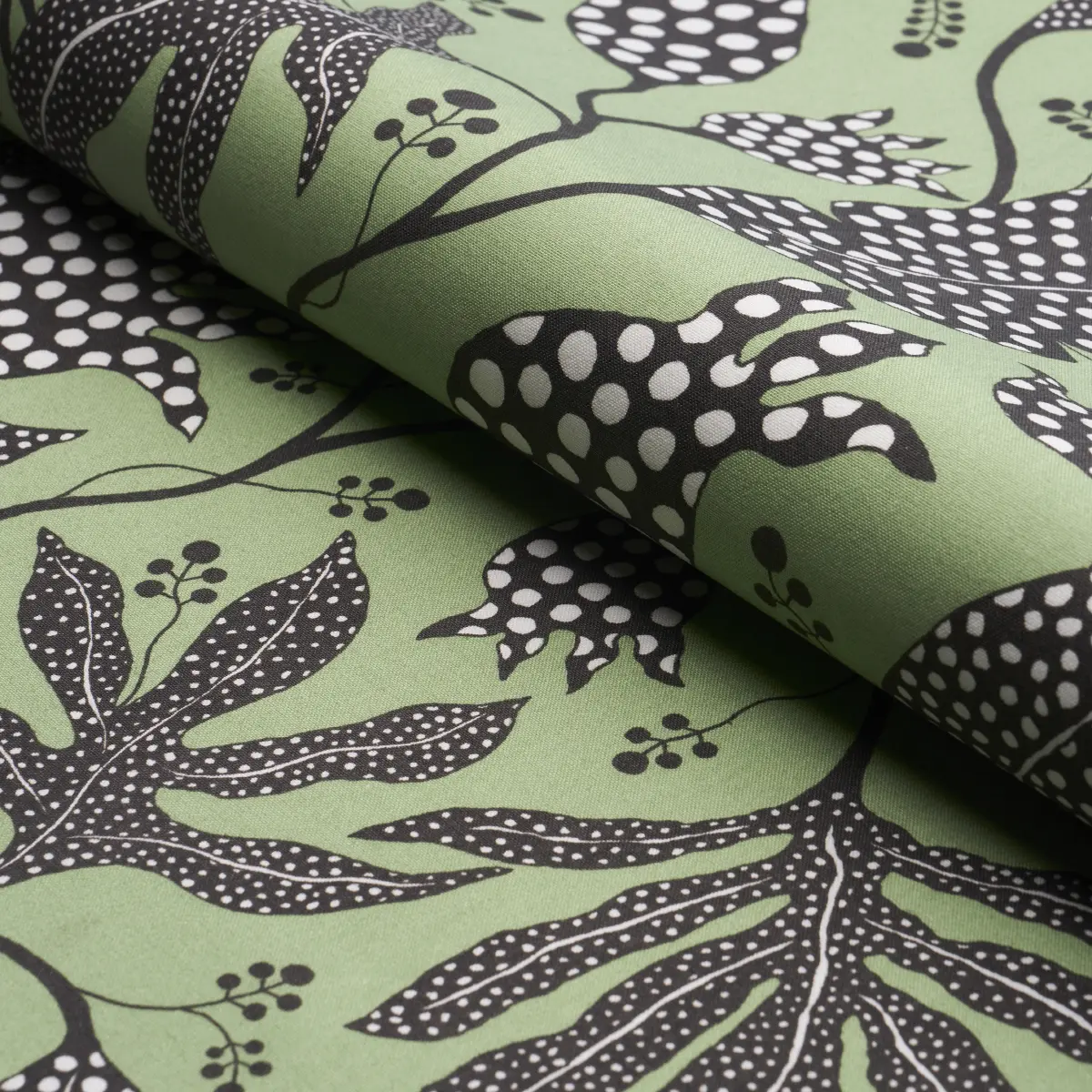 POLKA DOT JUNGLE_ BLACK & GREEN