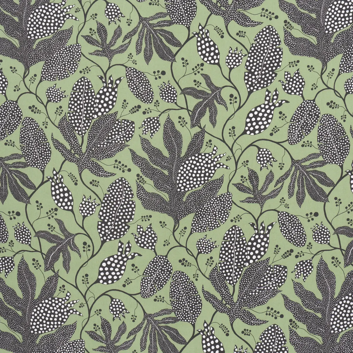 POLKA DOT JUNGLE_ BLACK & GREEN