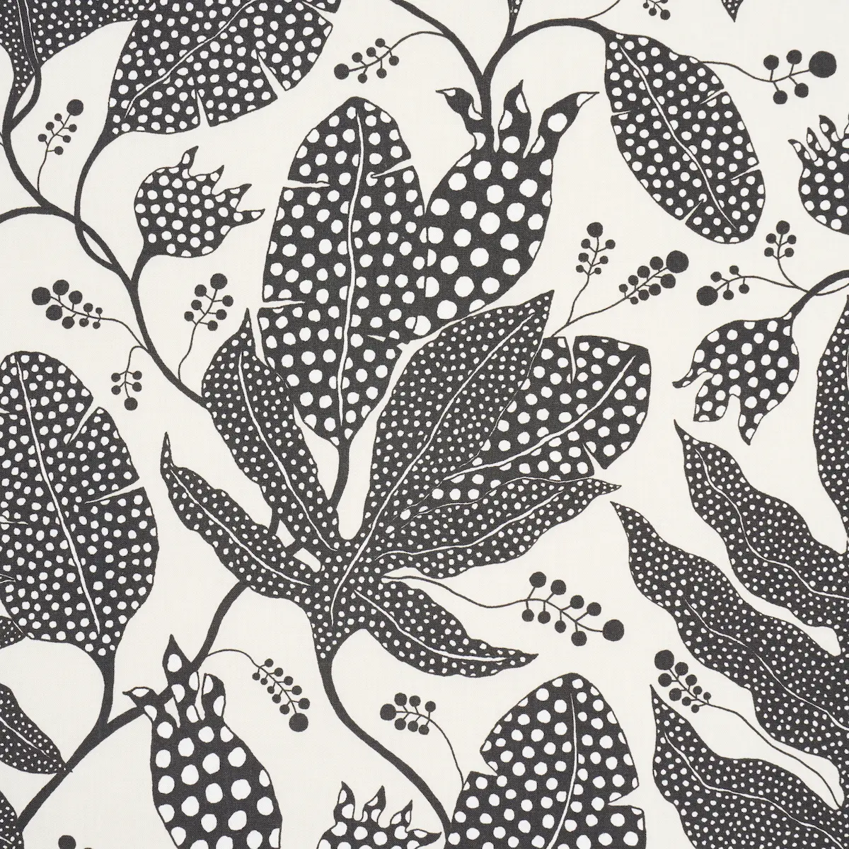 POLKA DOT JUNGLE_ BLACK & CREAM