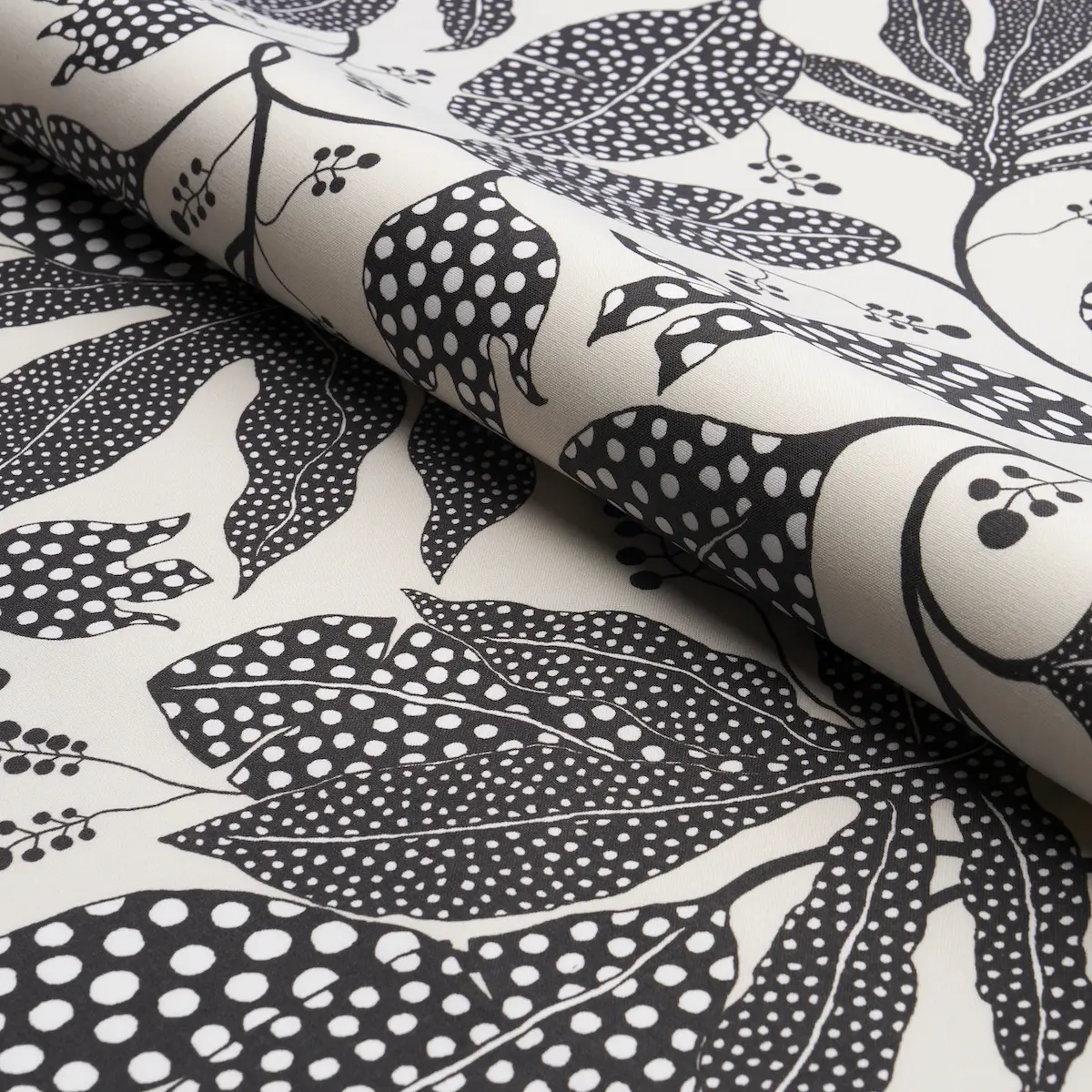 POLKA DOT JUNGLE_ BLACK & CREAM