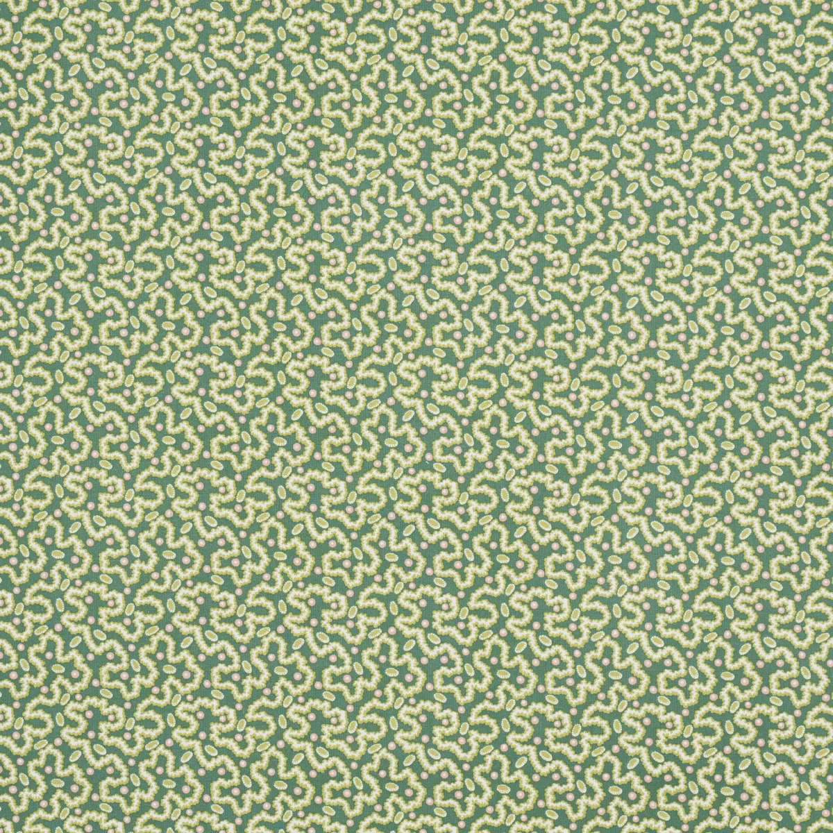 LEONIE VERMICELLI_ LEAF