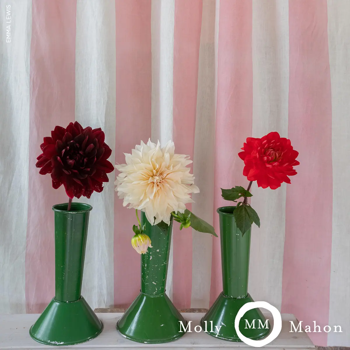 Wide Hand Block Stripe_ PINK