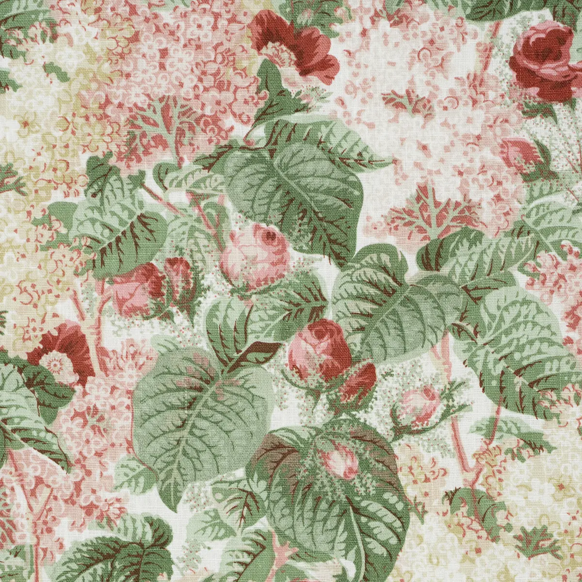 FLORA'S FLEURS_ APRICOT