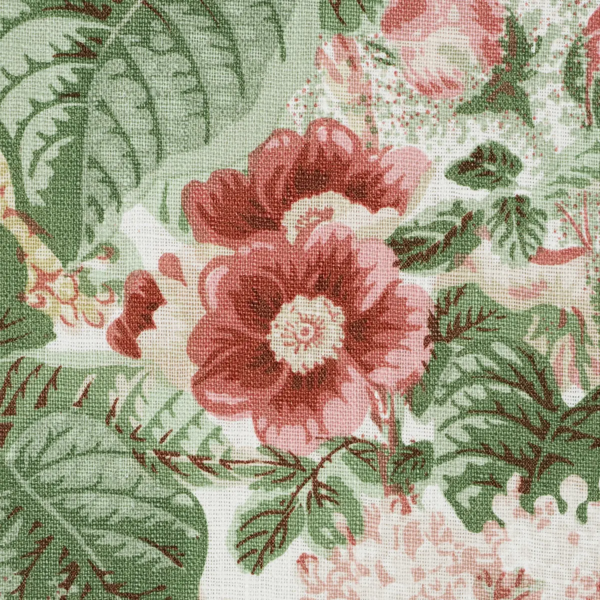 FLORA'S FLEURS_ APRICOT