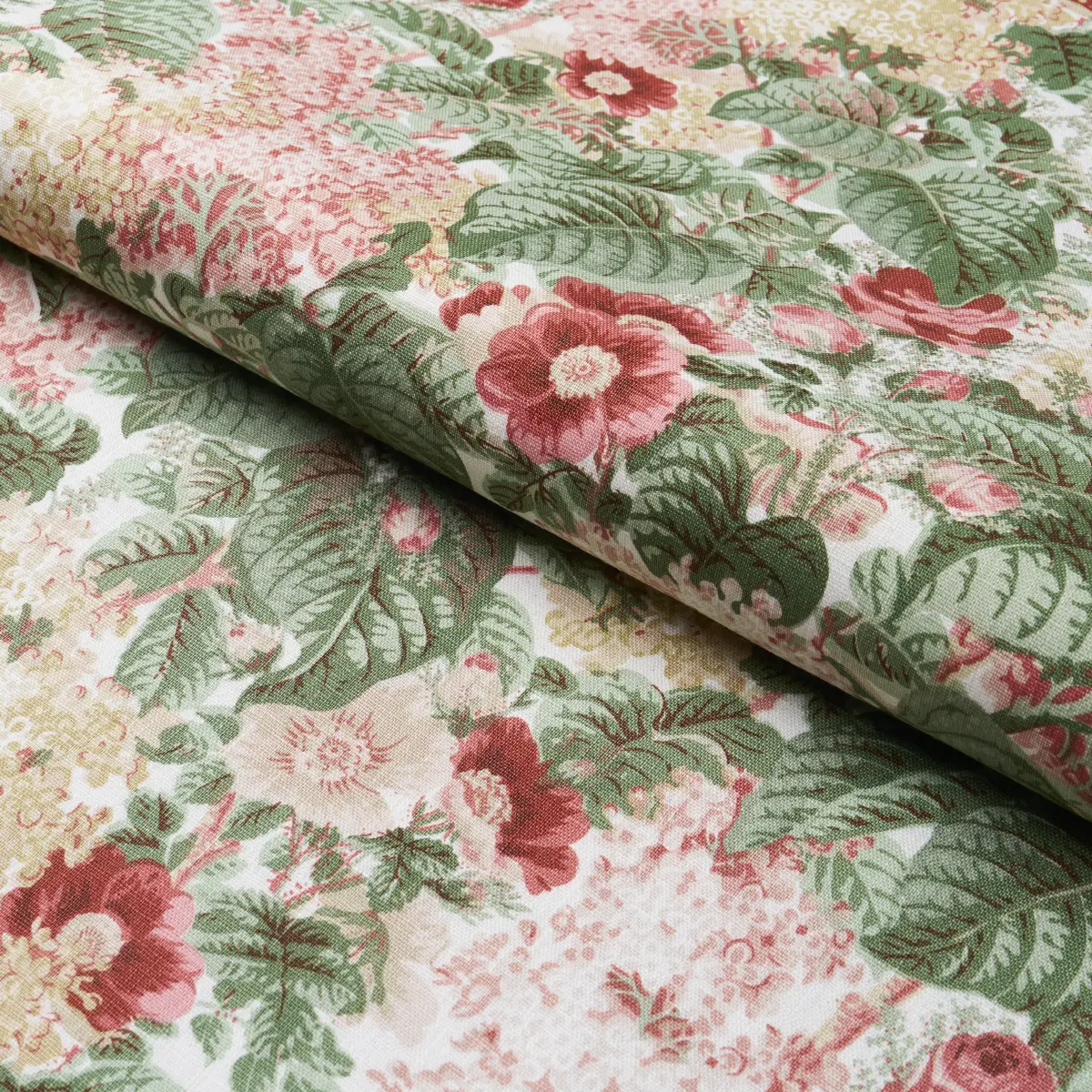 FLORA'S FLEURS_ APRICOT