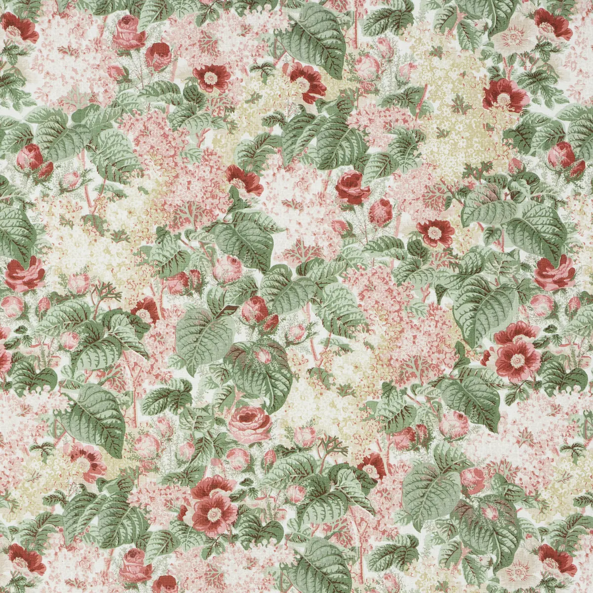 FLORA'S FLEURS_ APRICOT