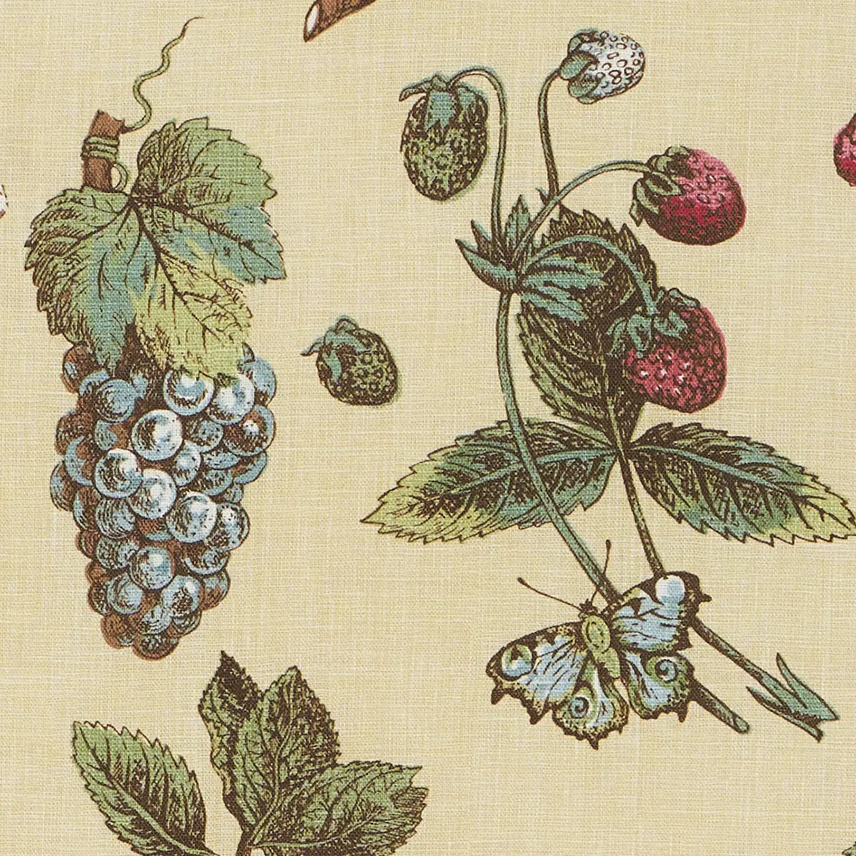 BERRY GROVE_ BUTTER