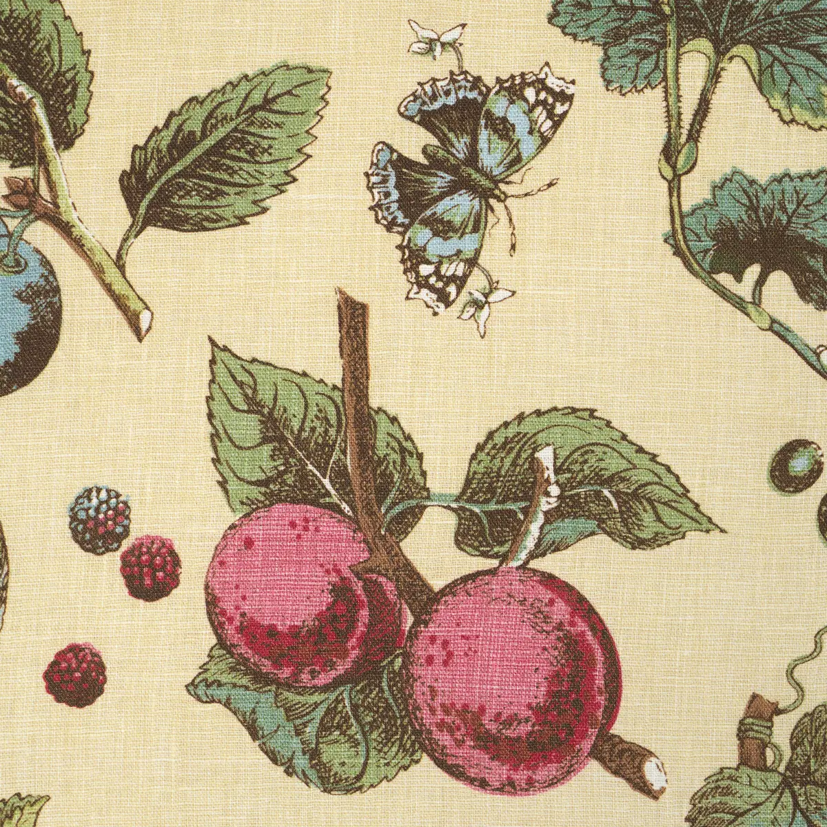BERRY GROVE_ BUTTER