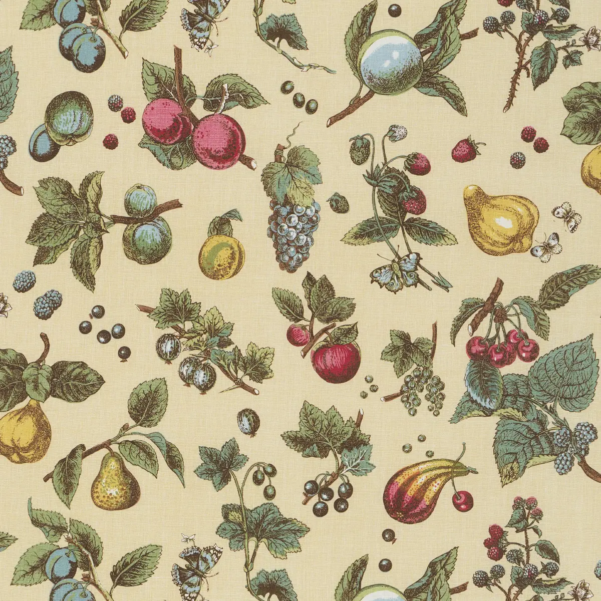 BERRY GROVE_ BUTTER
