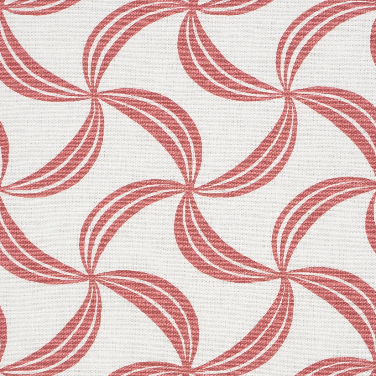 AMBROSIA_ CORAL