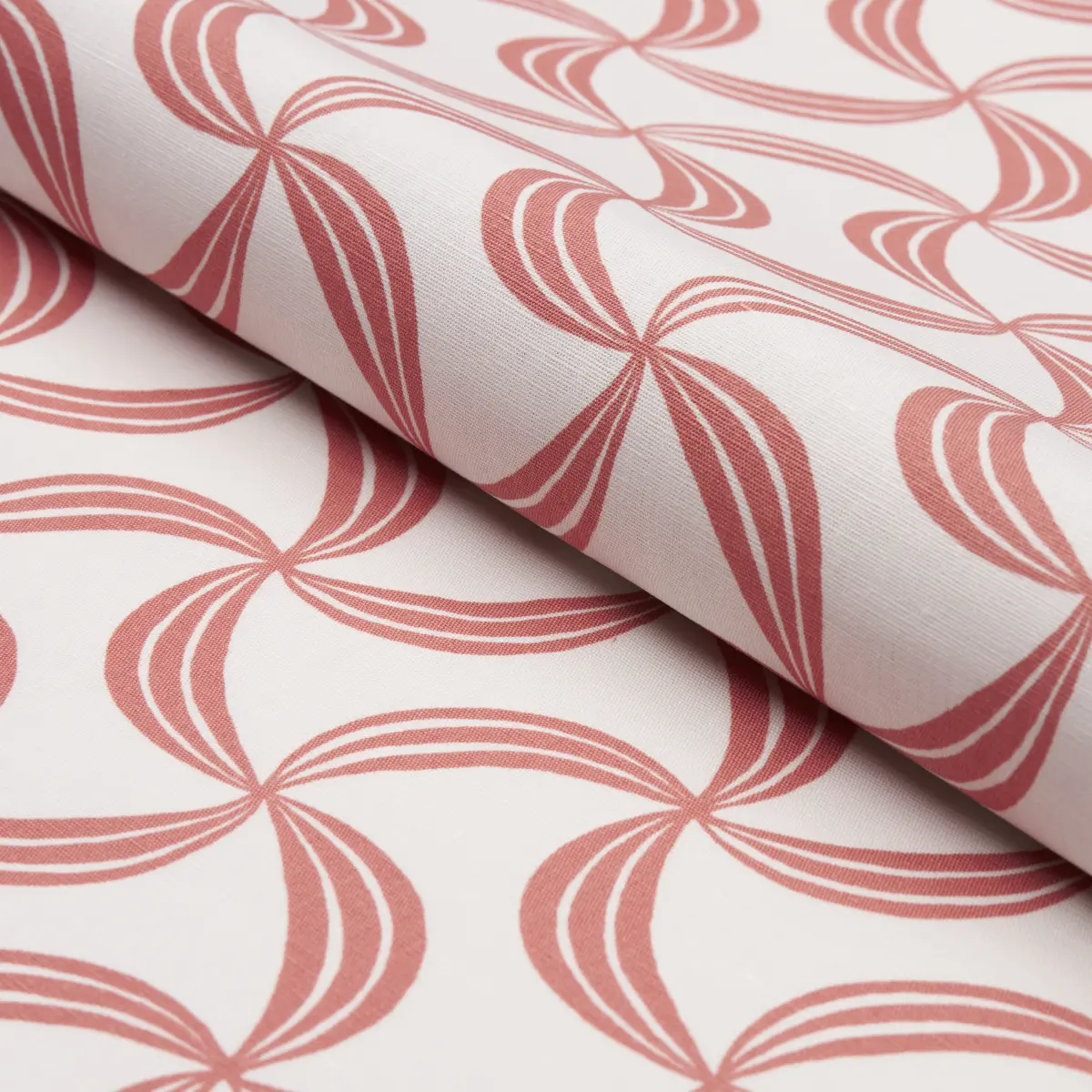 AMBROSIA_ CORAL