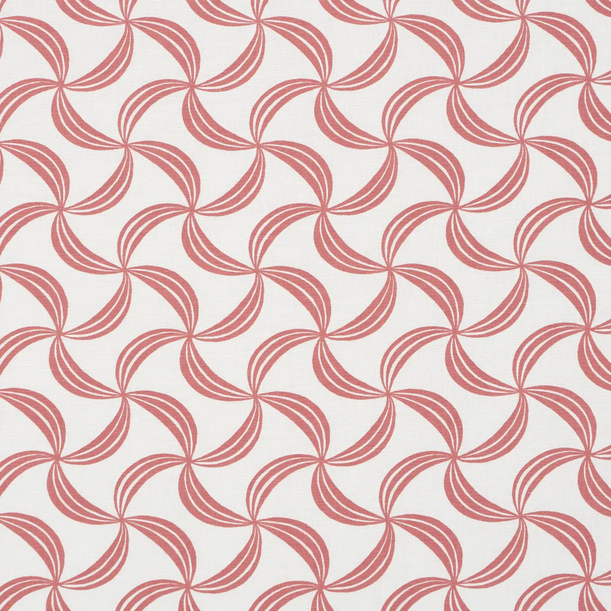 AMBROSIA_ CORAL