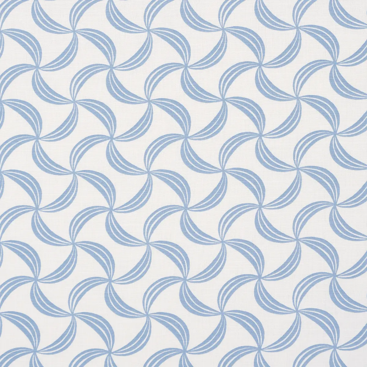 AMBROSIA_ BLUE