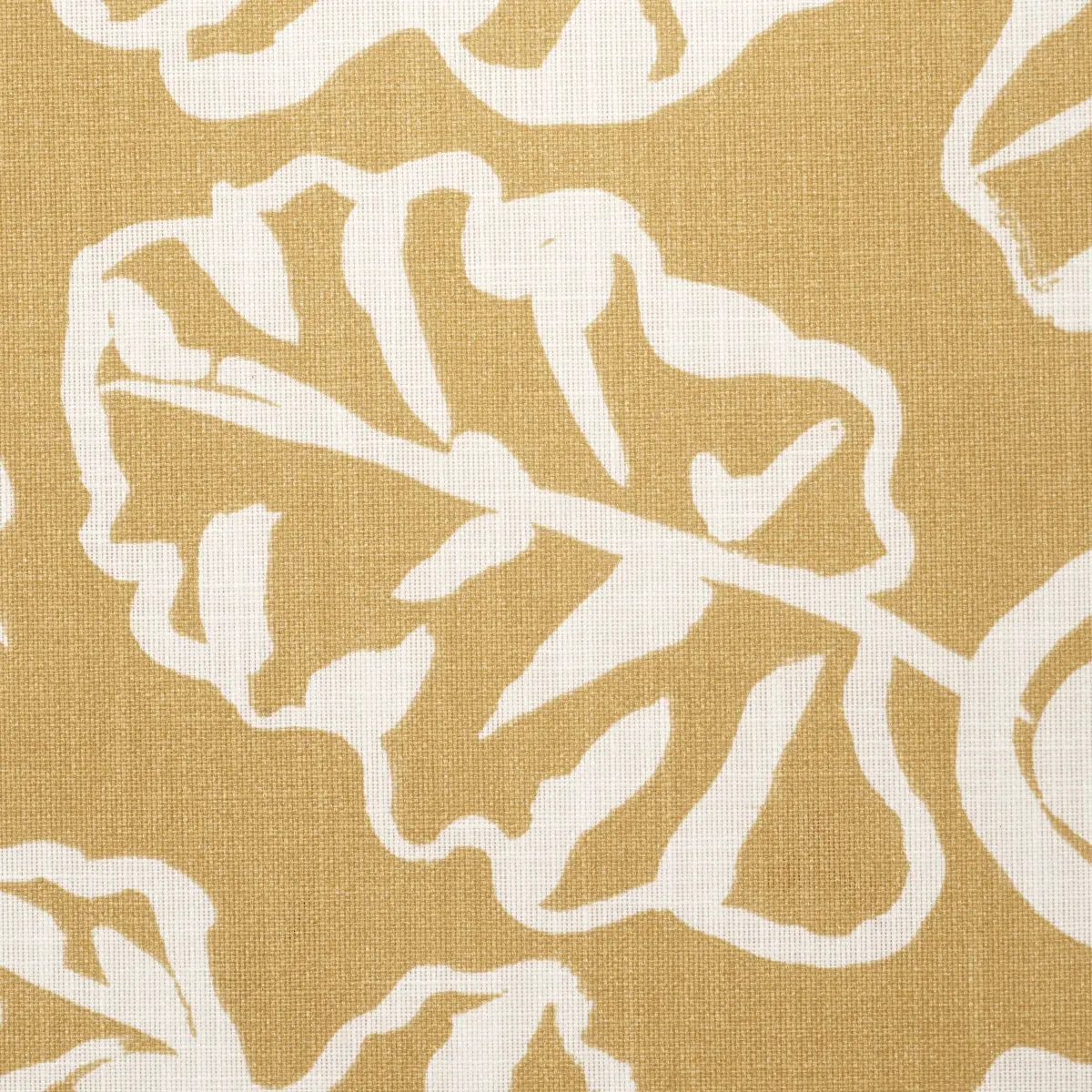 DEL MAR INDOOR/OUTDOOR_ MARIGOLD