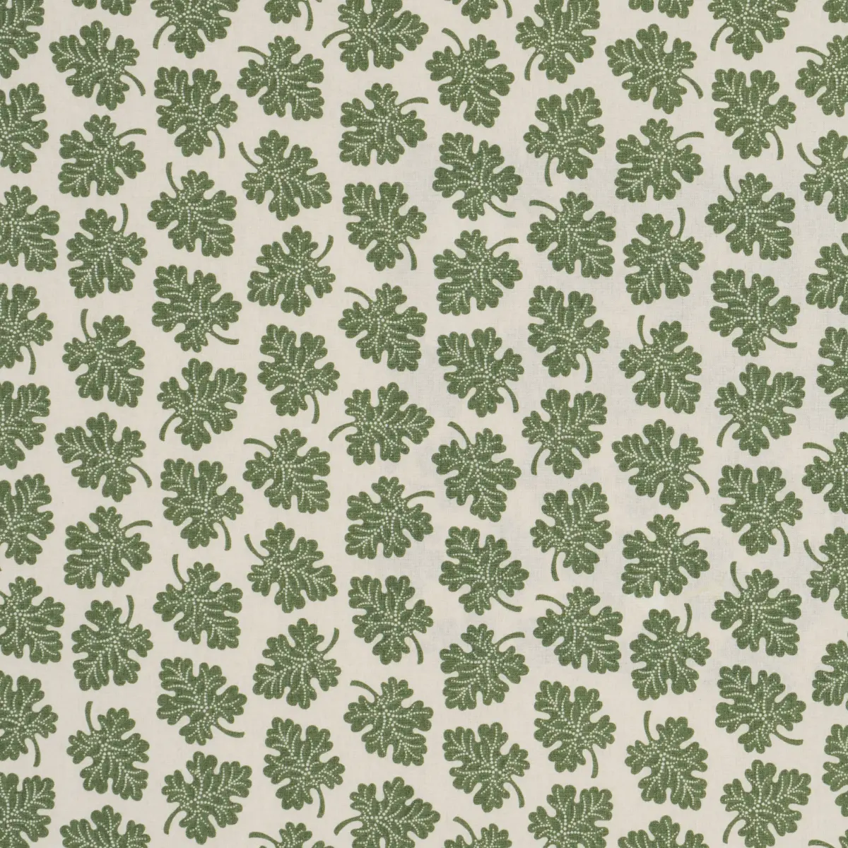 OLIVE_ GREEN