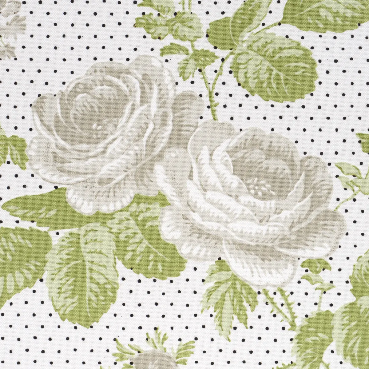 SIBYL CHINTZ_ NEUTRAL
