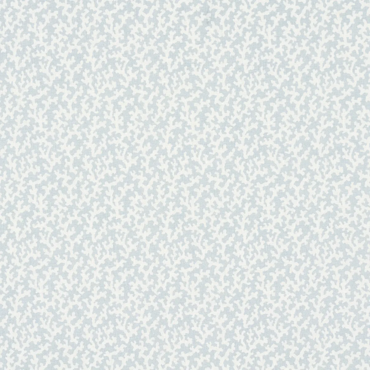 FOLLY_ SKY