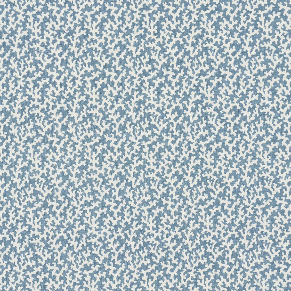 FOLLY_ MARINE