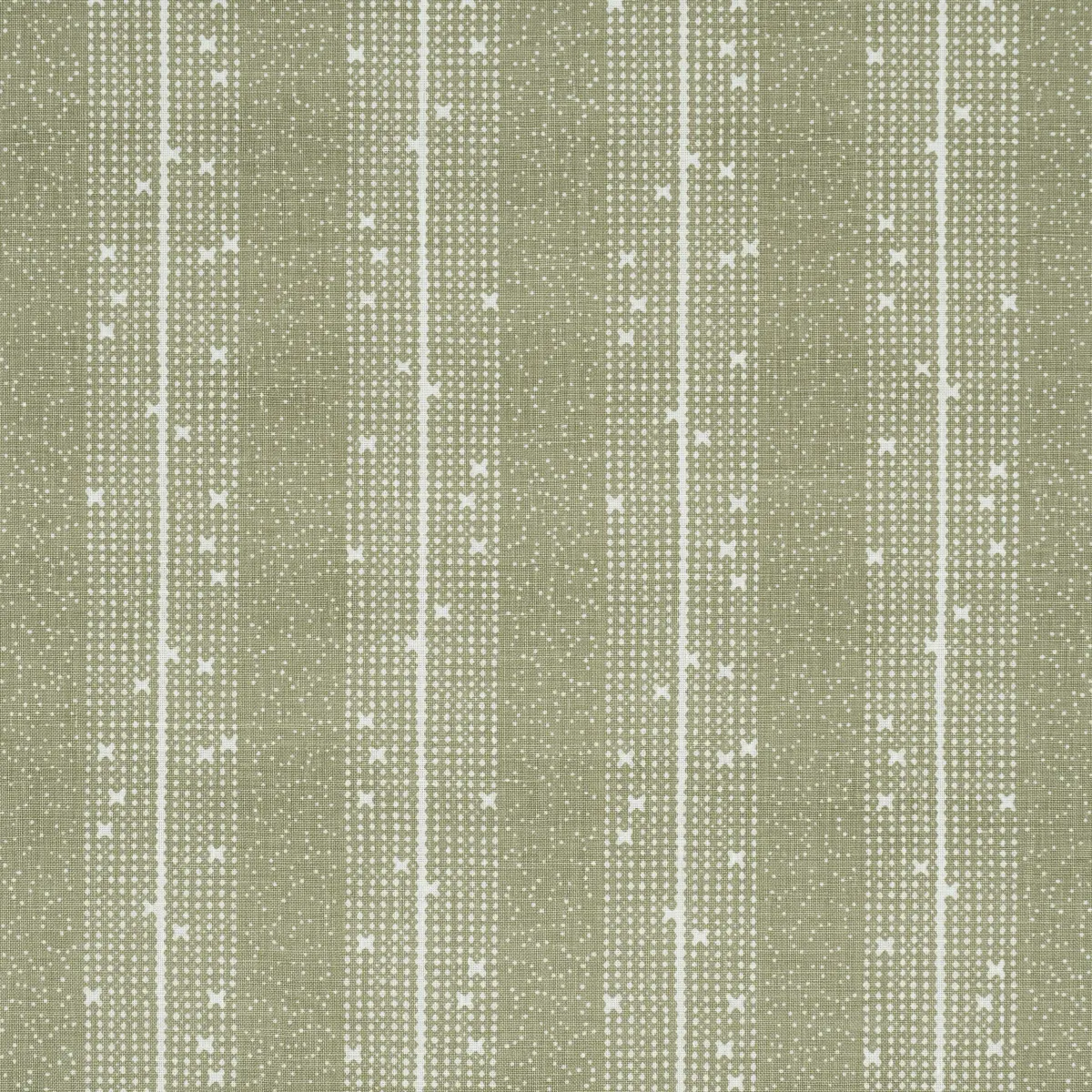 STELLA STRIPE_ MOSS