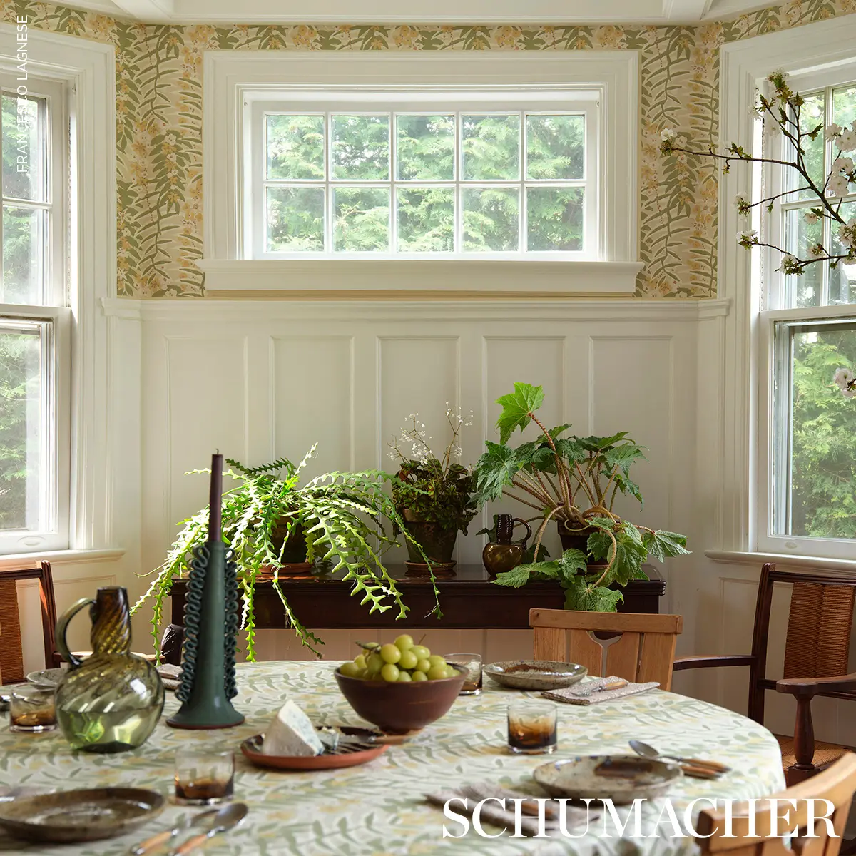 ASHBEE BOTANICAL_ CITRON