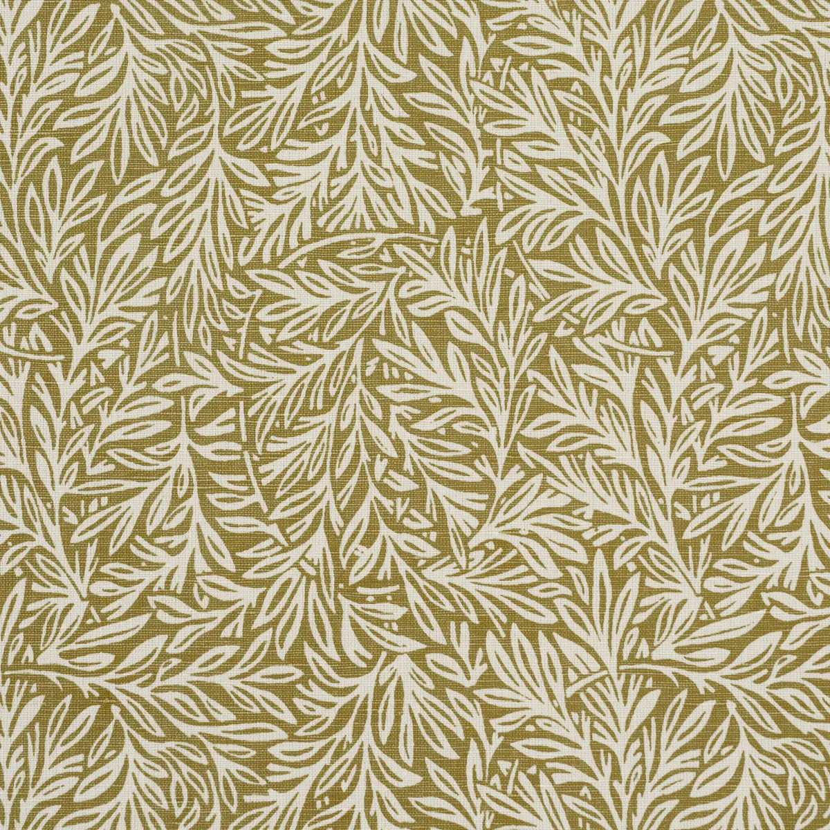 WILLOW LEAF_ MOSS