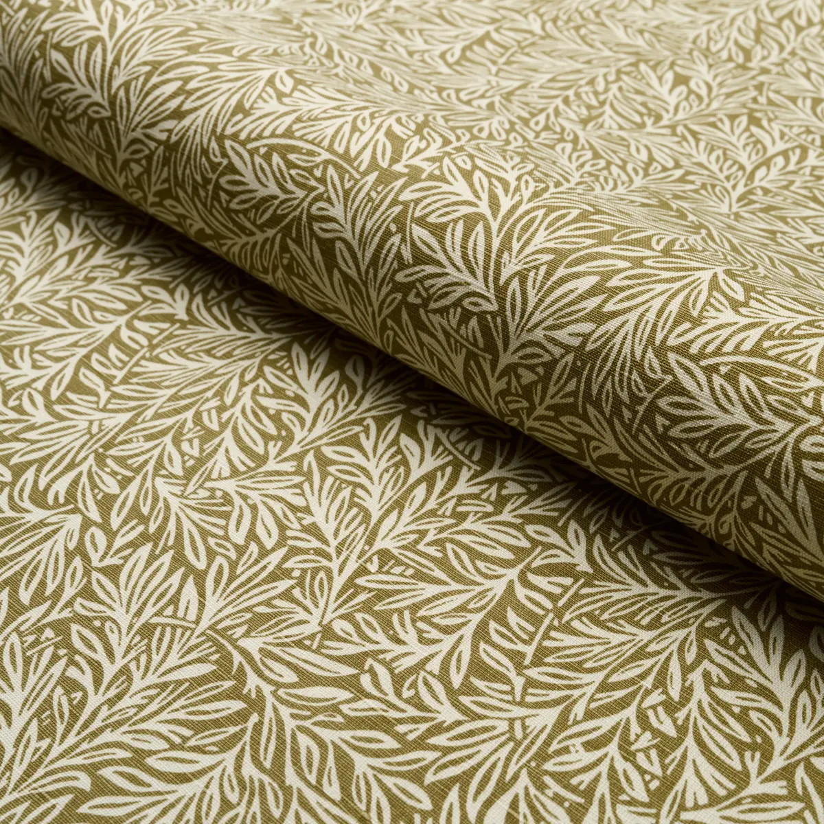 WILLOW LEAF_ MOSS