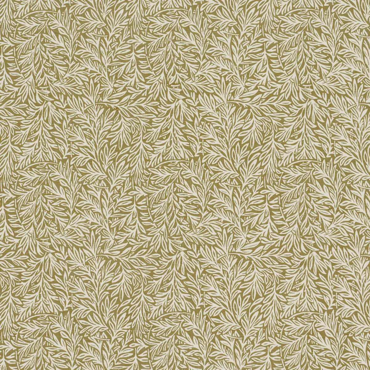 WILLOW LEAF_ MOSS