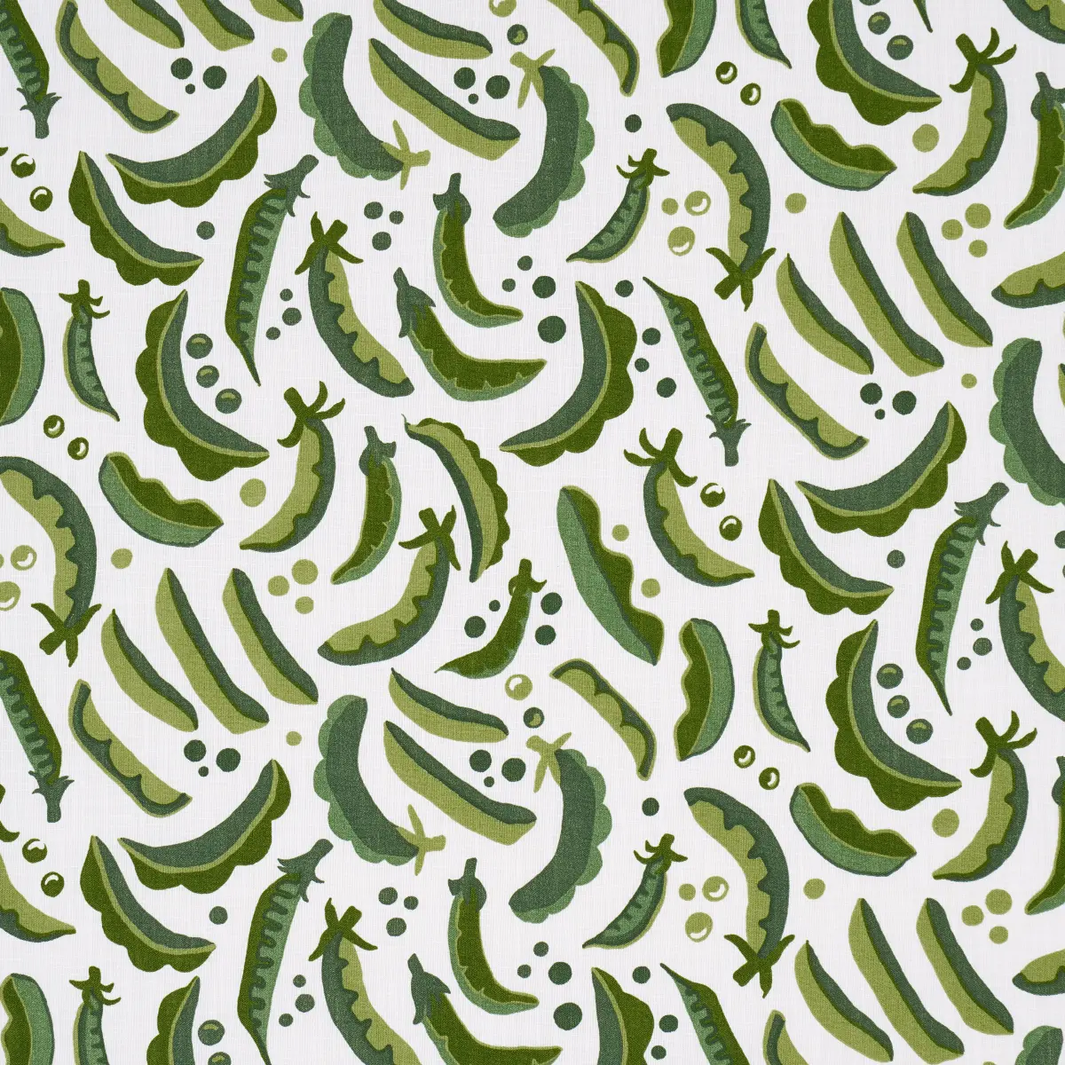 SUGAR ANN INDOOR/OUTDOOR_ GREEN