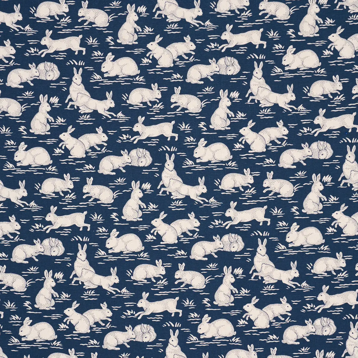 COTTONTAILS_ INDIGO