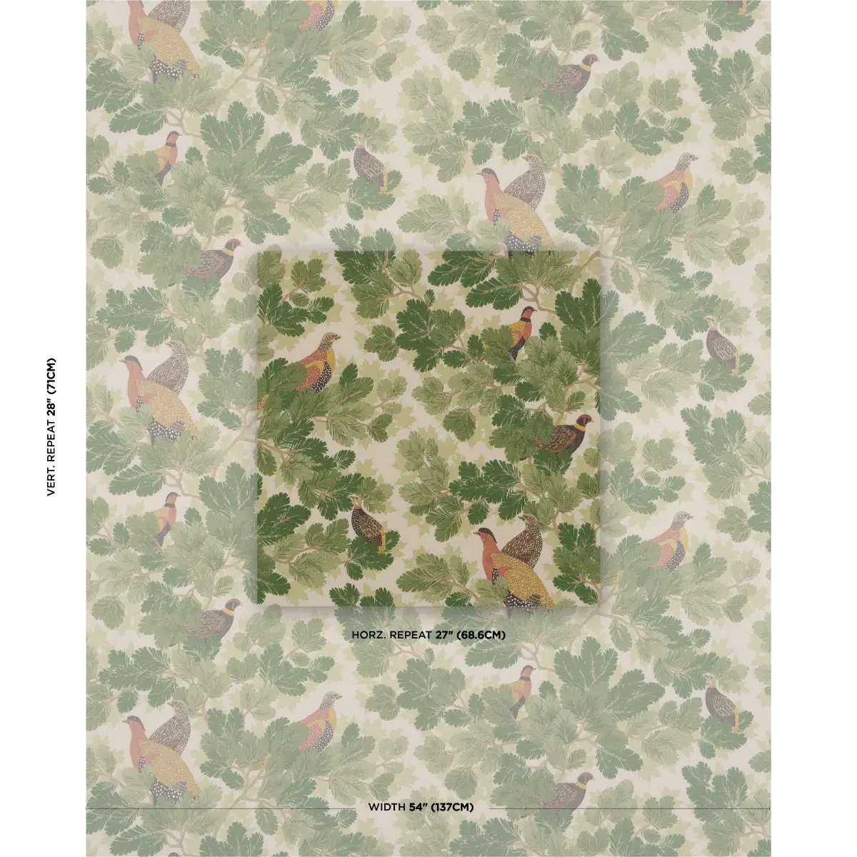 COVEY HEDGE_ PINE