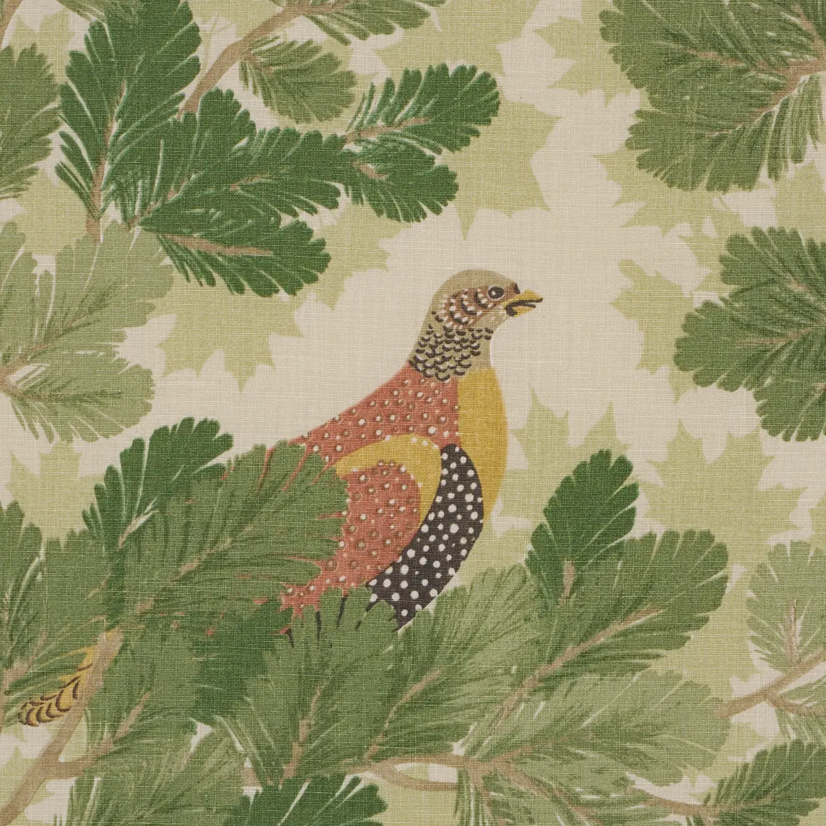 COVEY HEDGE_ PINE