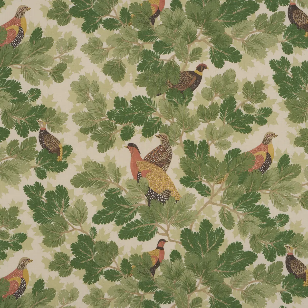 COVEY HEDGE_ PINE