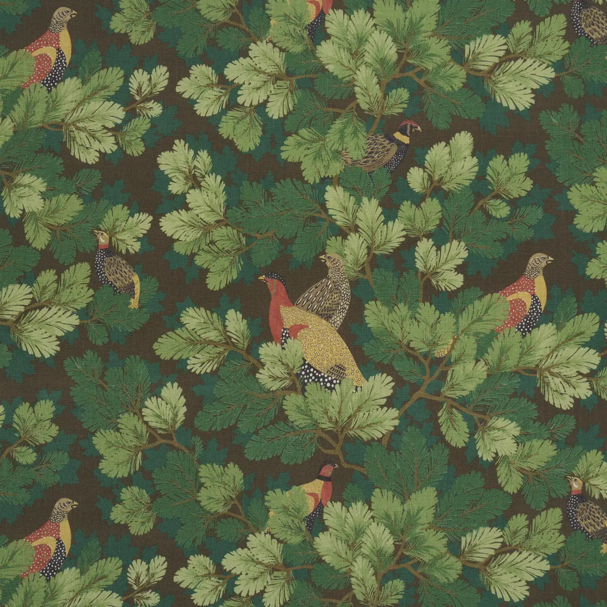 Covey Hedge_ CHESTNUT