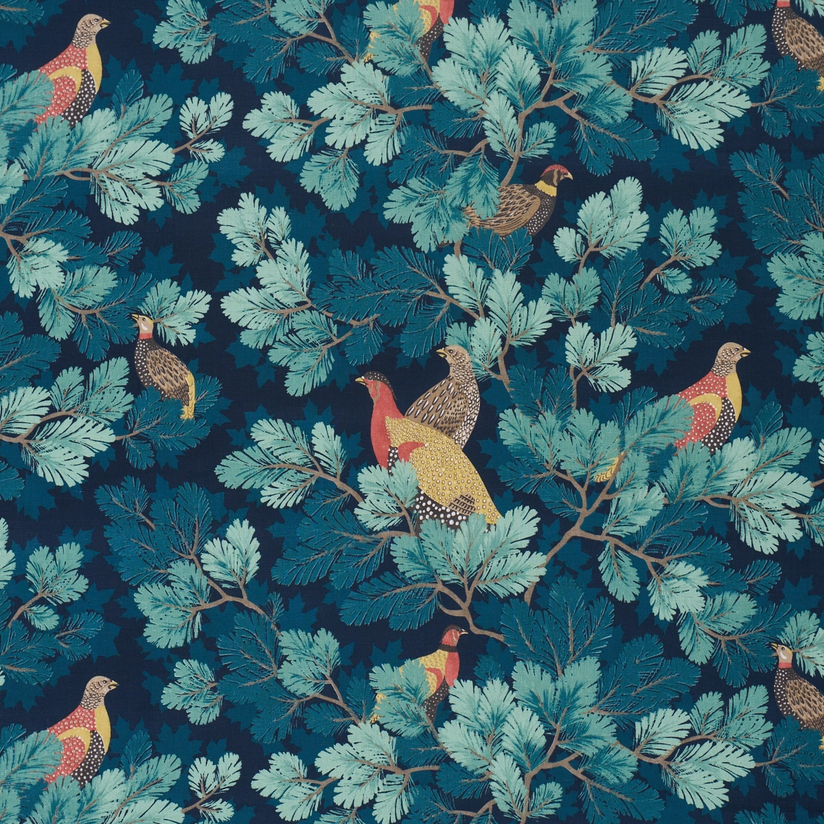 Covey Hedge_ MIDNIGHT