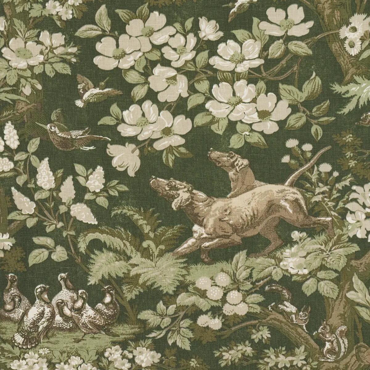 HOUND MEADOW_ FOREST