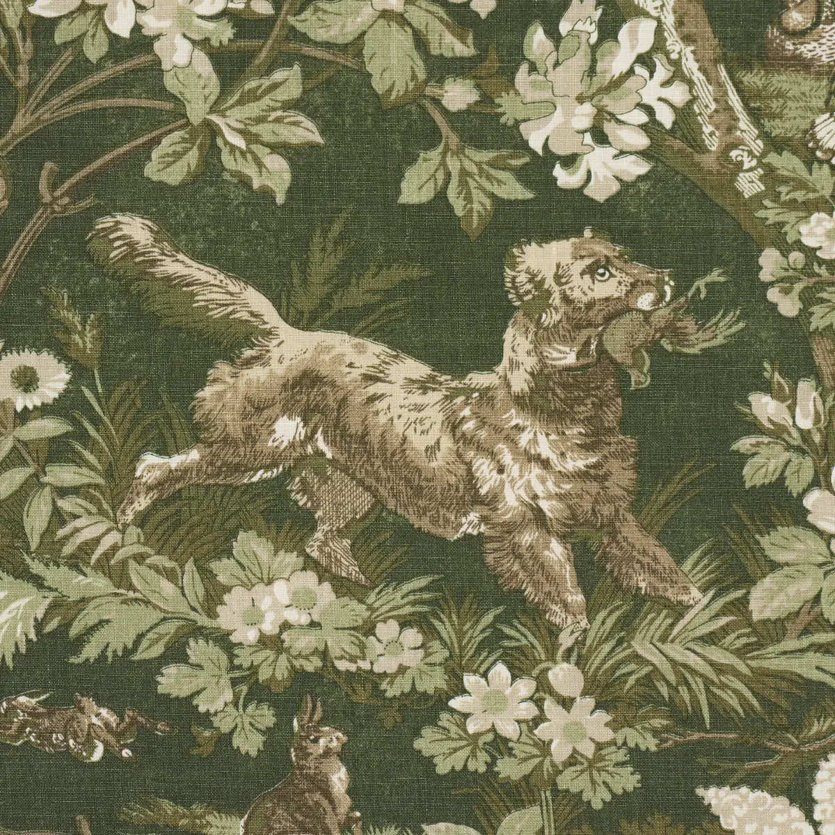 HOUND MEADOW_ FOREST