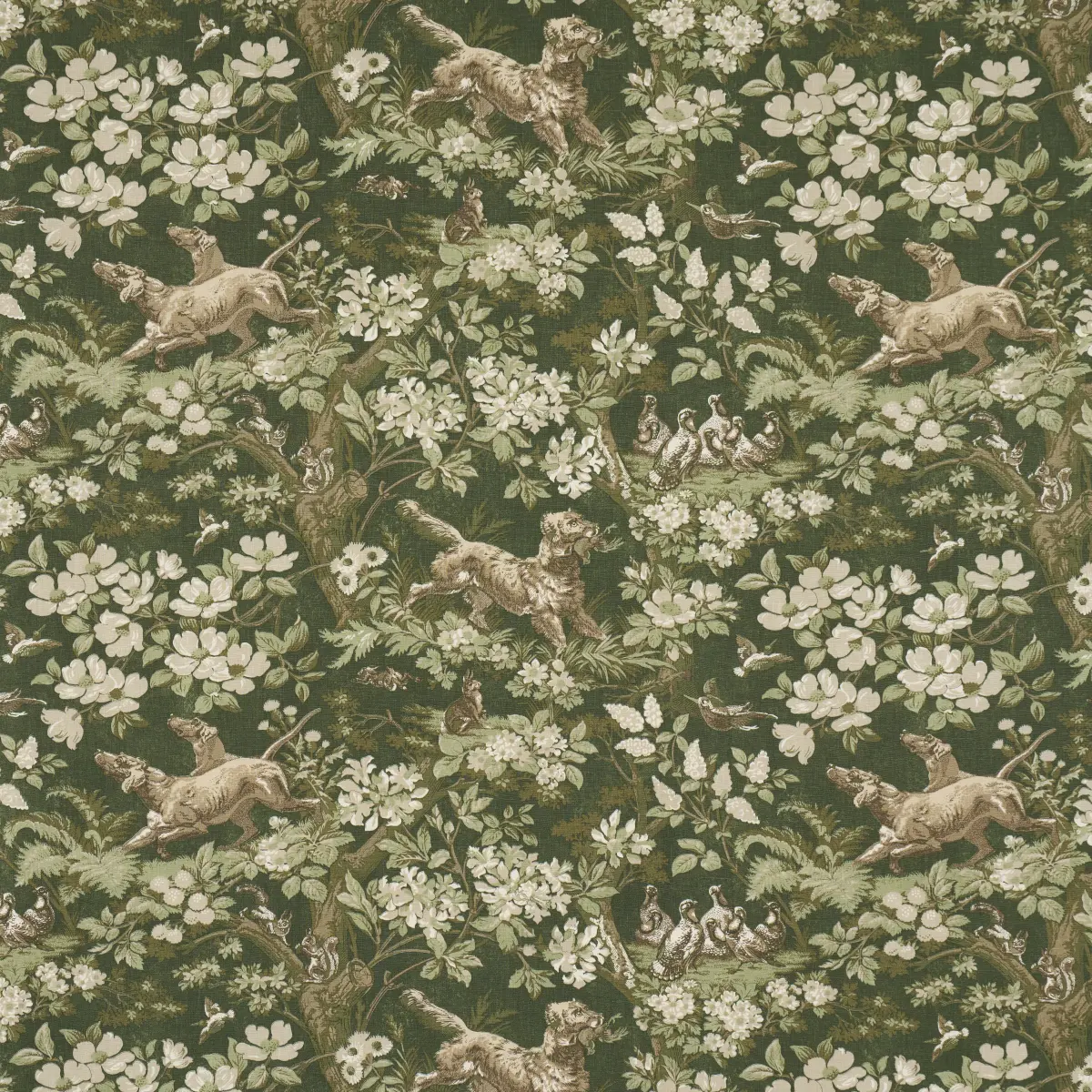 HOUND MEADOW_ FOREST